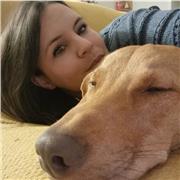 Docente scuola primaria offre Ripetizioni e aiuto compiti